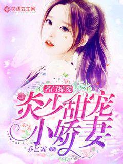 名门掠爱：炎少甜宠小娇妻最新章节，名门掠爱：炎少甜宠小娇妻全文在线阅读