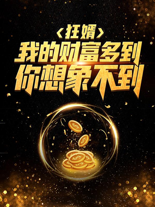 赵四海张董事长小说在哪里可以看