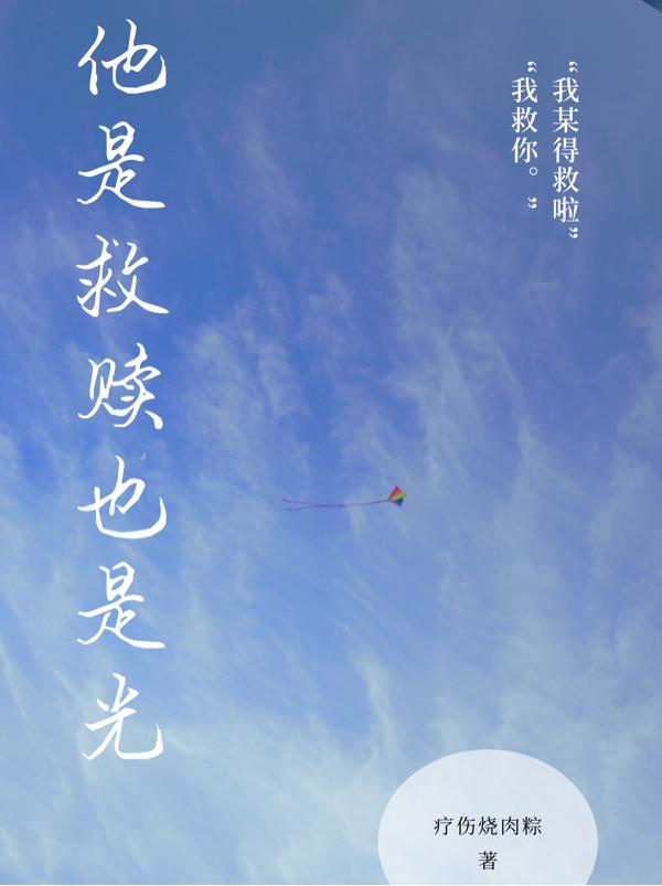 他是救赎也是光小说，他是救赎也是光最新章节-优文网