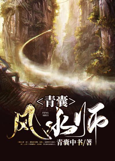 青囊风水师小说，青囊风水师免费阅读