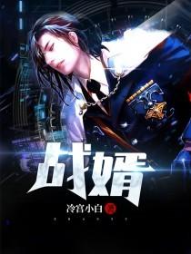 《战婿》小说章节列表免费试读，冷宫小白小说在线阅读