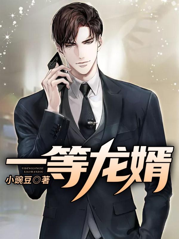 《一等龙婿》全集免费在线阅读（方新柔易晨徐美荣）-优文网