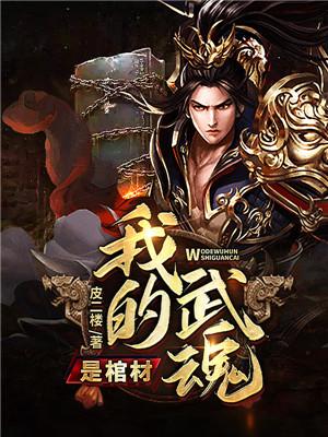 求我的武魂是棺材小说免费资源-优文网