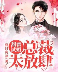 甜蜜试婚：总裁，太放肆小说，甜蜜试婚：总裁，太放肆全文在线阅读