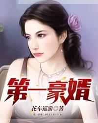 《第一豪婿》小说主角何佳伟沈艳冰全文章节免费在线阅读