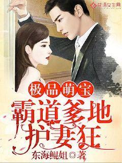 极品萌宝：霸道爹地护妻狂小说，极品萌宝：霸道爹地护妻狂全文在线阅读