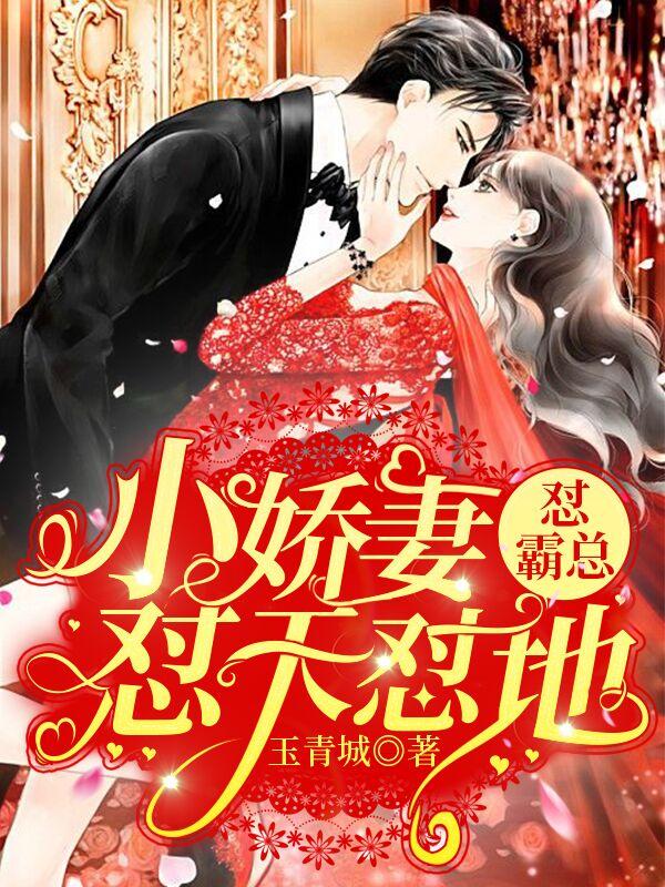 小娇妻怼天怼地怼霸总云薇暖娆娆梁辰黄丽婧，小娇妻怼天怼地怼霸总在线无弹窗阅读-优文网