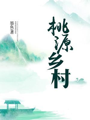 小说《桃源乡村》全文阅读-薯片文学