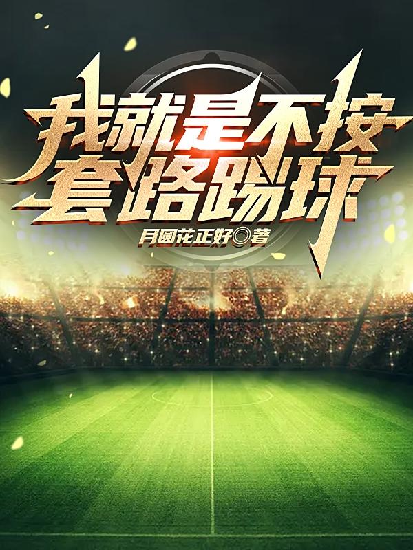 小说《我就是不按套路踢球》在线全文阅读