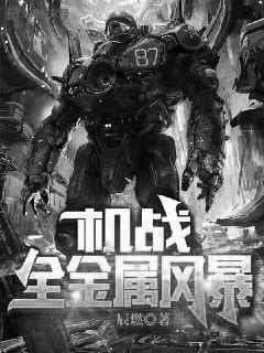 已完结小说《机战：全金属风暴》最新章节