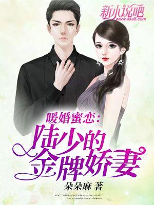 已完结小说《暖婚蜜恋：陆少的金牌娇妻》在线全文阅读-经典文学