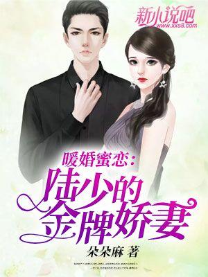 《暖婚蜜恋：陆少的金牌娇妻》小说全文在线试读，《暖婚蜜恋：陆少的金牌娇妻》最新章节目录