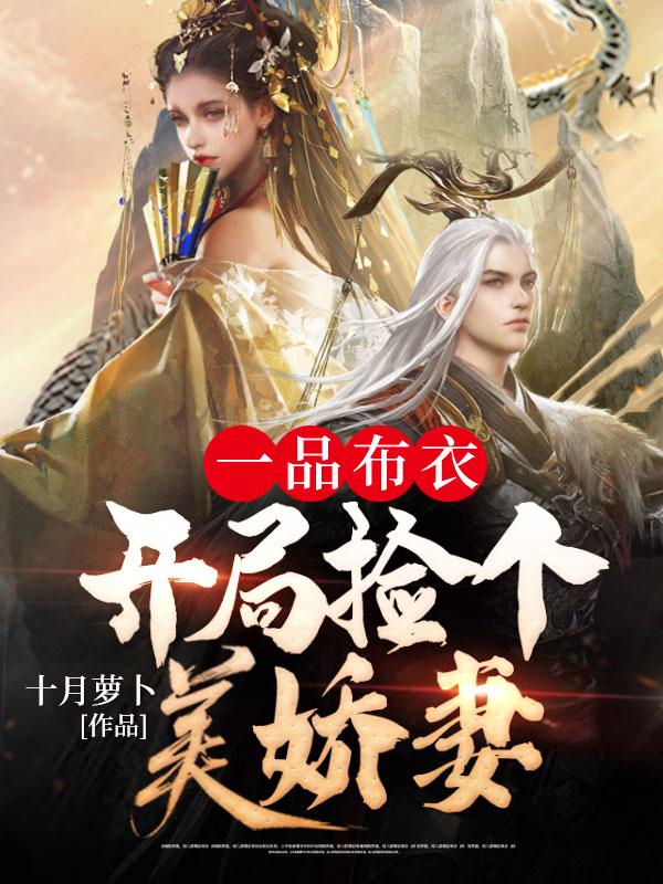 一品布衣，开局捡个美娇妻免费阅读，一品布衣，开局捡个美娇妻周启
