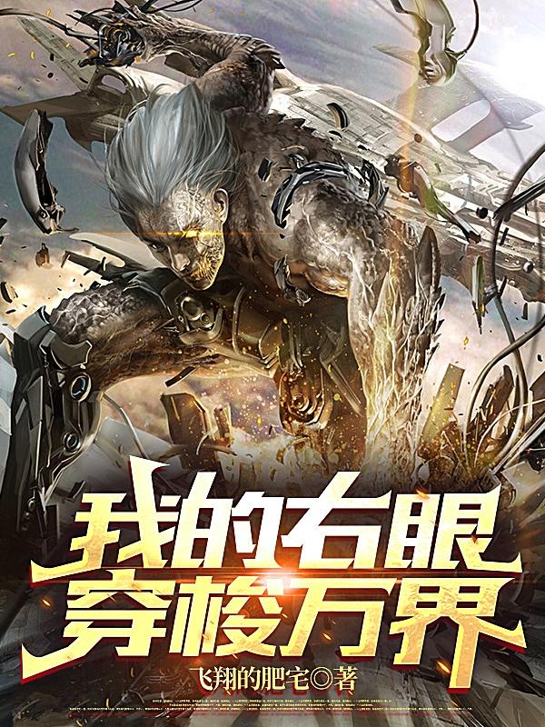 我的右眼穿梭万界飞翔的肥宅，我的右眼穿梭万界小说免费阅读