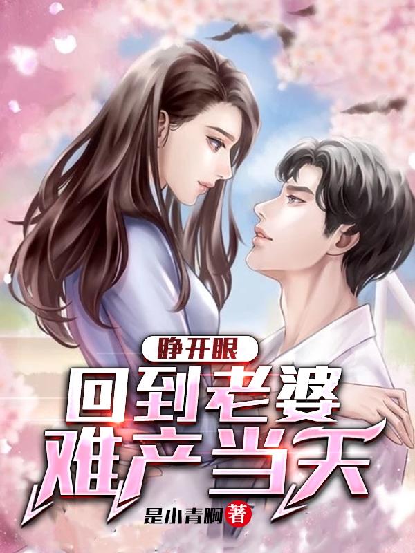 司辰颜立夏小说《睁开眼，回到老婆难产当天》在线阅读