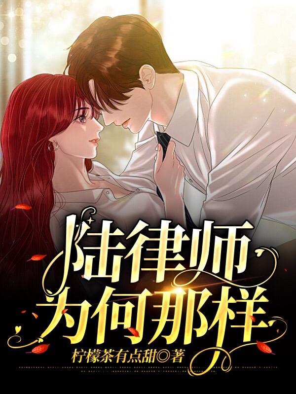 小说《陆律师为何那样》全文免费阅读