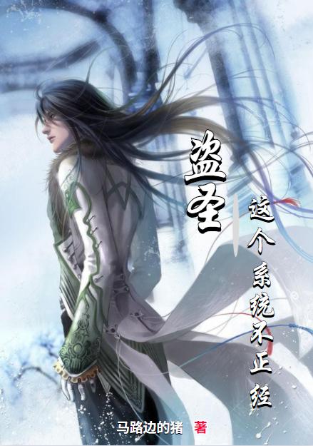 小说《盗圣，这个系统不正经》全文免费阅读