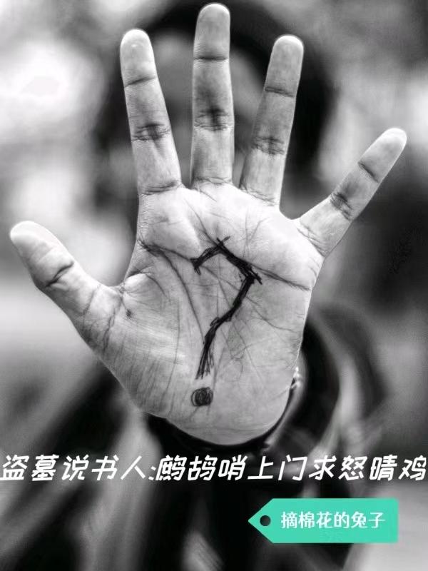 张尘尹新月小说《盗墓说书人：鹧鸪哨上门求怒晴鸡》在线阅读