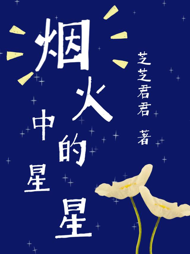 李星燃南阳小说《烟火中的星星》在线阅读