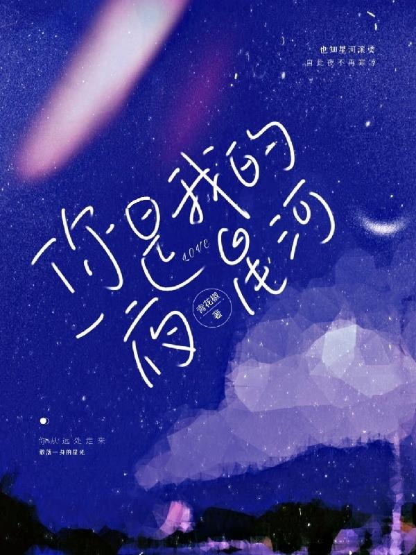 小说《你是我的一夜星河》全文免费阅读