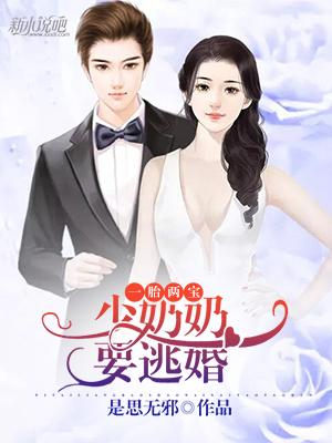 小说《一胎两宝：少奶奶要逃婚》全文免费阅读