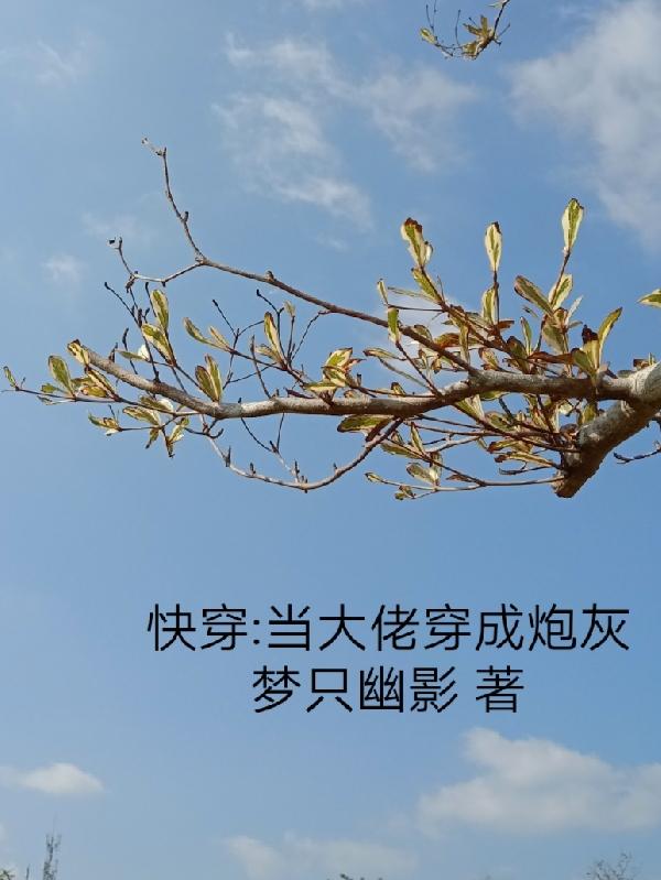 林枢小说在哪里可以看