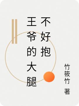 魏宸安温安宁小说《王爷的大腿不好抱》在线阅读