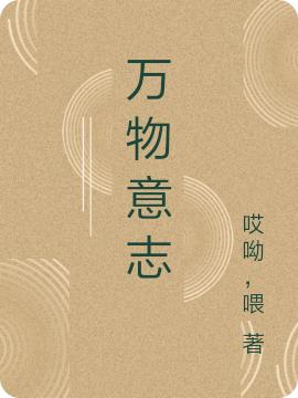 万物意志落日余晖小说免费阅读