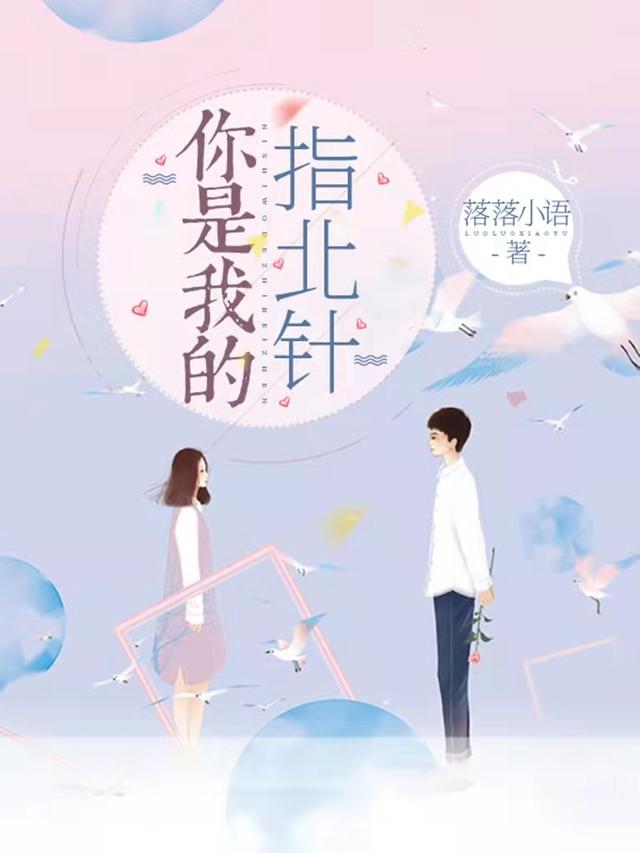 你是我的指北针落落小语，你是我的指北针小说免费阅读