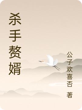 小说《杀手赘婿》全文免费阅读
