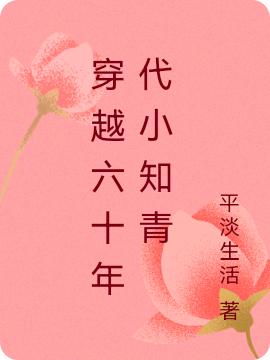 穿越六十年代小知青平淡生活，穿越六十年代小知青小说免费阅读-瑞奇文学