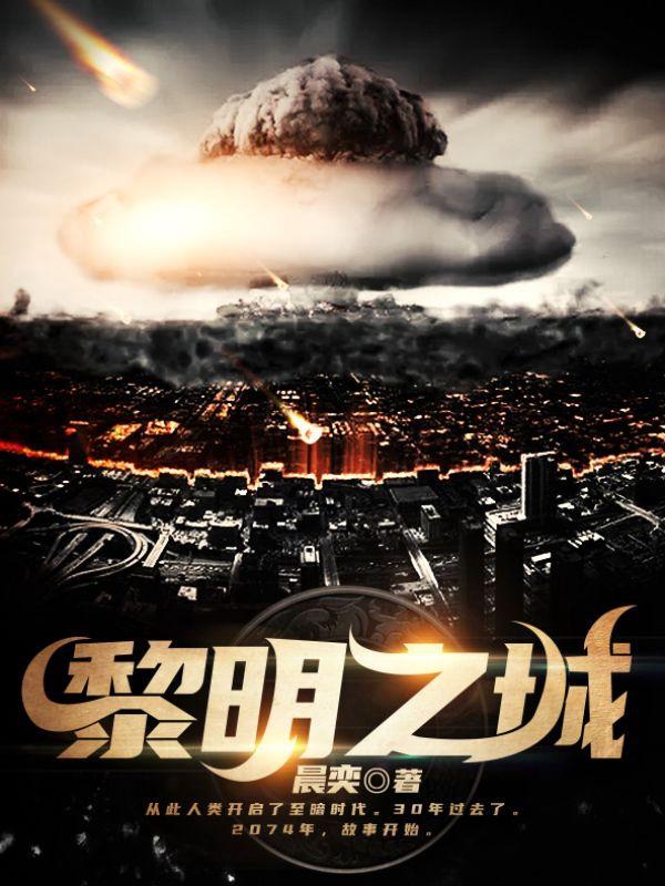 黎明之城小说完整版全文免费阅读-瑞奇文学