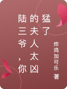 陆三爷，你的夫人太凶猛了炸鸡加可乐，陆三爷，你的夫人太凶猛了小说免费阅读