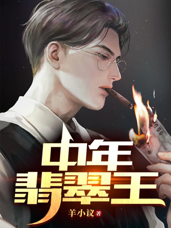 小说《中年翡翠王》全文免费阅读