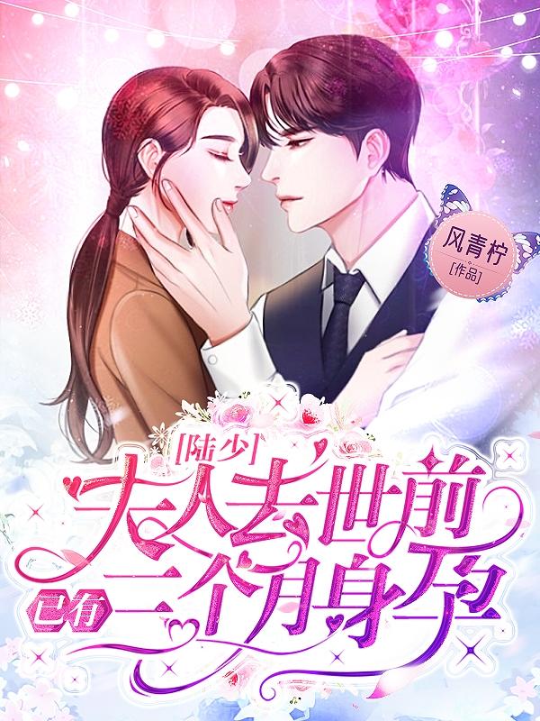 陆少，夫人去世前已有三个月身孕（夏忆晚陆景淮）在线免费阅读