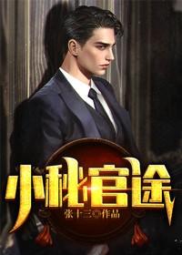 小秘官途免费阅读，小秘官途全文在线阅读
