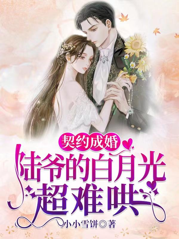 小说《契约成婚：陆爷的白月光超难哄》在线全文阅读-读书翁