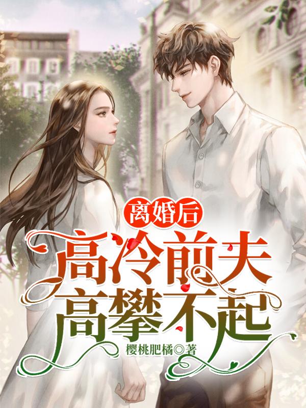 离婚后，高冷前夫高攀不起小说，离婚后，高冷前夫高攀不起免费阅读-瑞奇文学