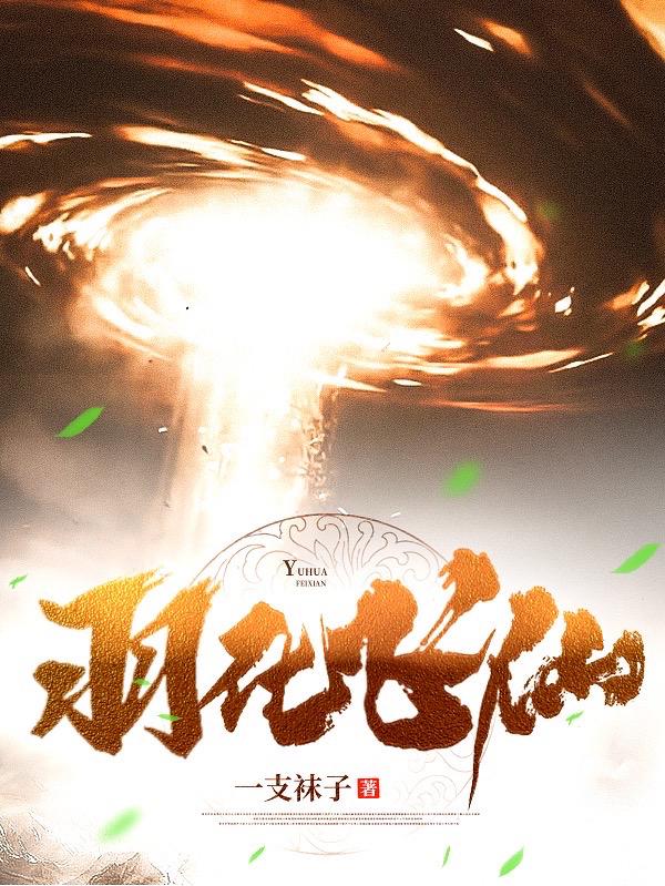 羽化飞仙一支袜子，羽化飞仙小说免费阅读