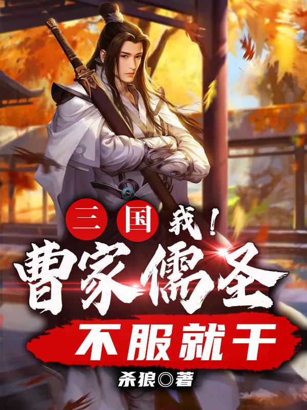 求三国：我！曹家儒圣，不服就干小说免费资源
