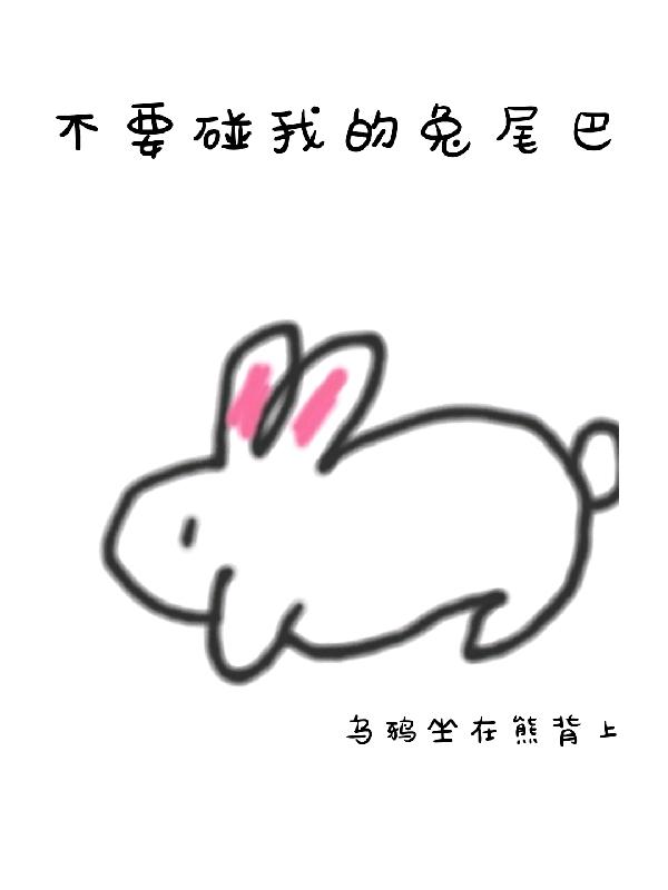 完整版《不要碰我的兔尾巴》txt下载