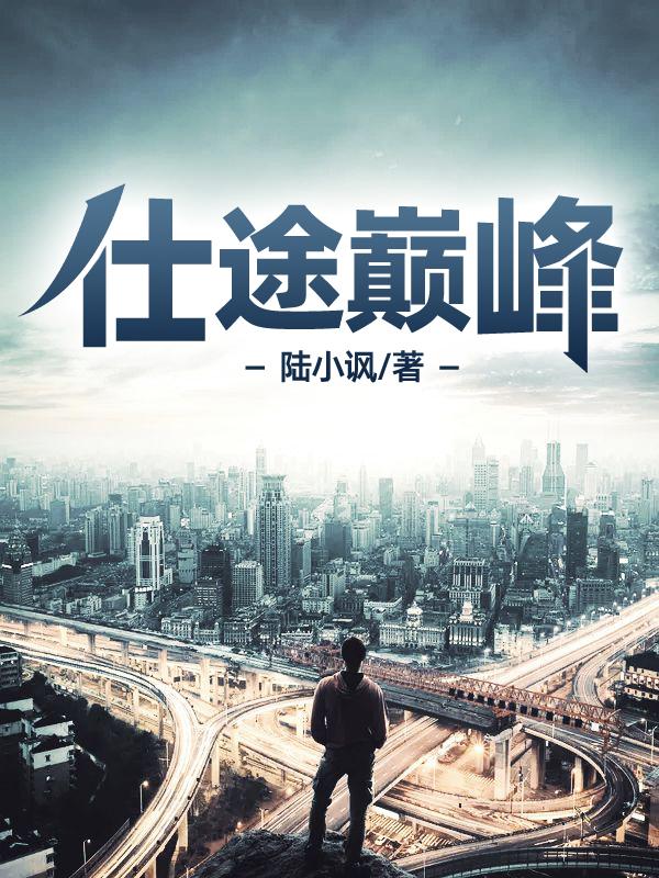 已完结小说《仕途巅峰》全章节在线阅读-经典文学