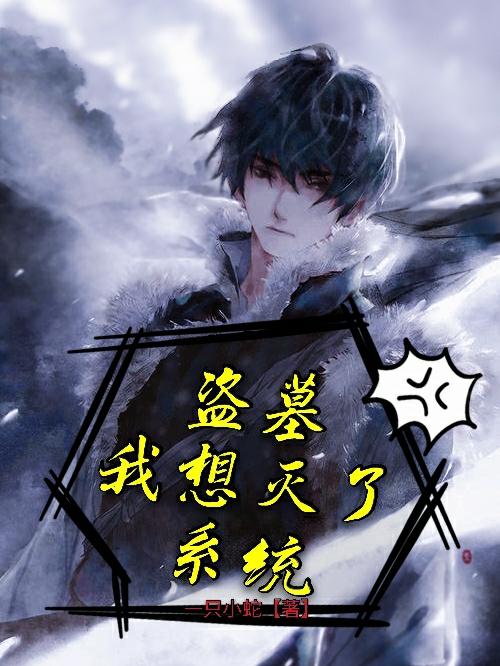 小说《盗墓:我想灭了系统》全文免费阅读