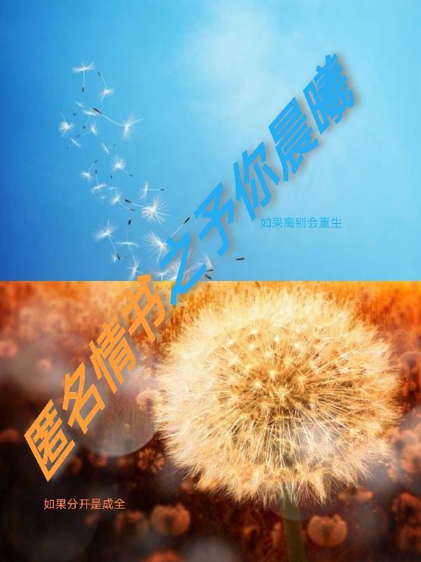 许秋思秦晟浩小说《匿名情书之予你晨曦》在线阅读
