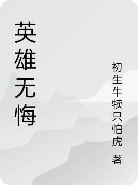 小说《英雄无悔》全文免费阅读