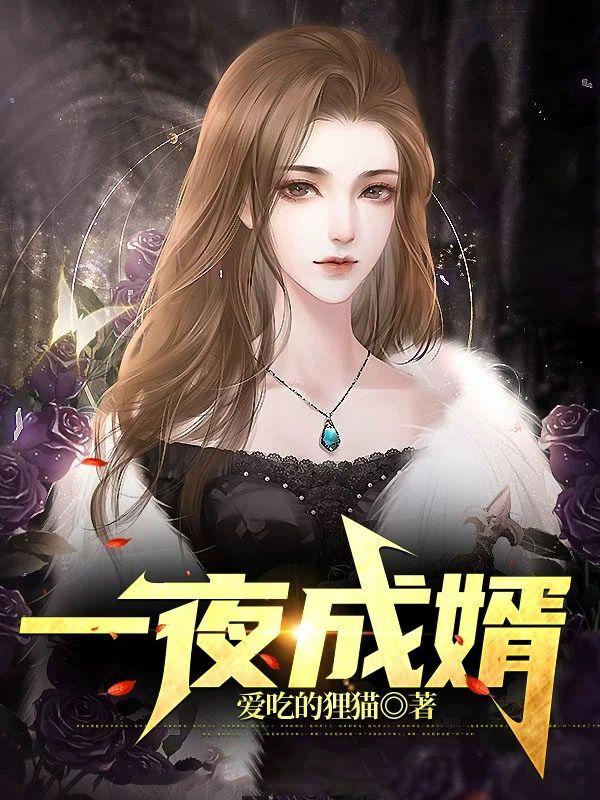 完整版《一夜成婿》全文阅读-优文网