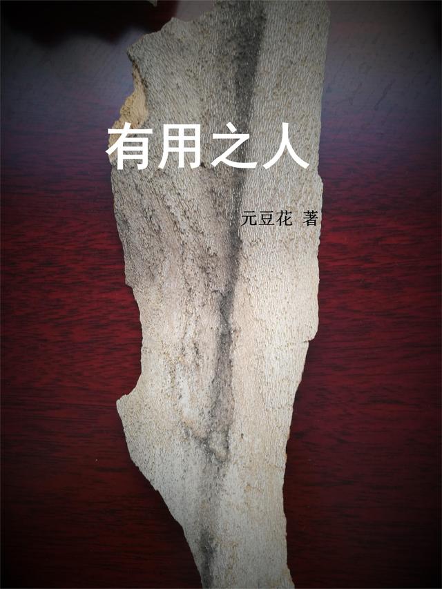 有用之人冯用人陈小眉小说免费阅读