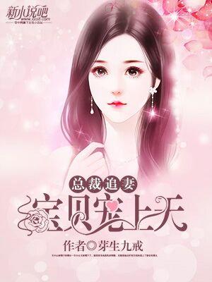 《总裁追妻，宝贝宠上天》全集免费在线阅读（崔小白胡篱）