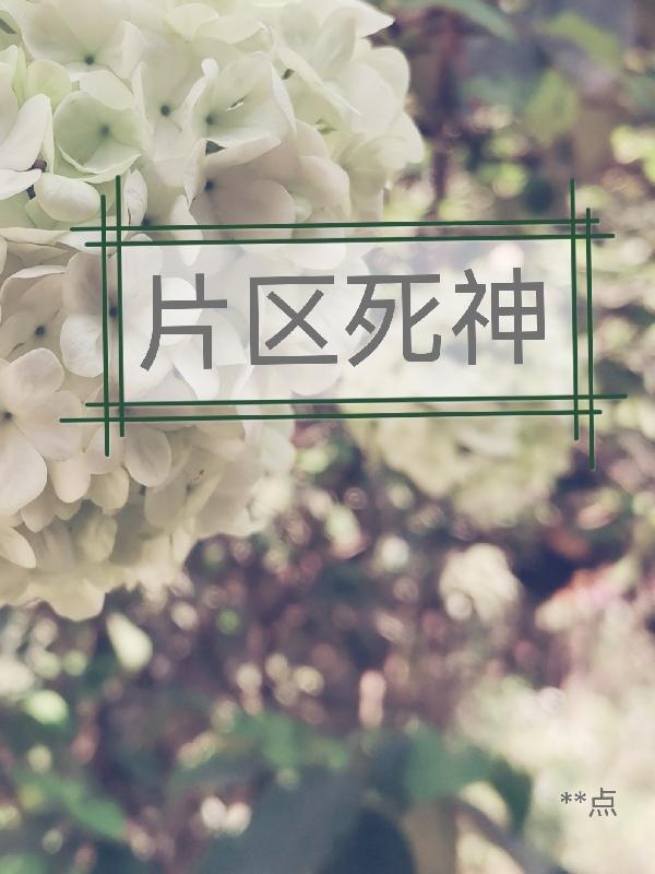 片区死神（死神警官）在线免费阅读