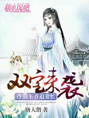 《双宝来袭，冷傲王爷追妻忙》小说大结局免费试读 小冉菱墨六苗毅坏人小说